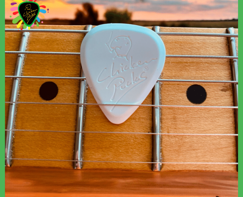 Professional guitar picks sales